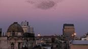assets/Uploads/_resampled/SetWidth173-landing-still-web.jpg