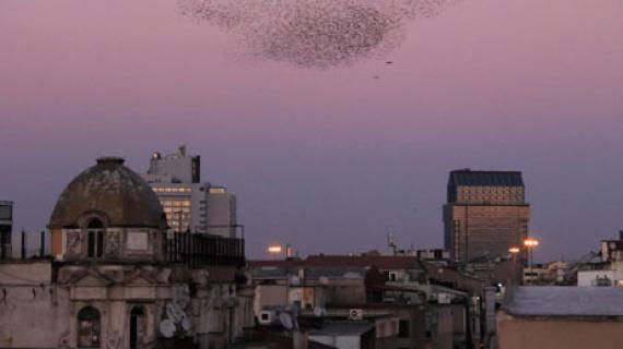 assets/Uploads/_resampled/SetWidth570-landing-still-web.jpg